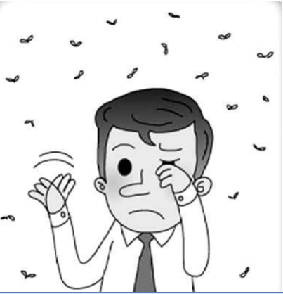眼前總有小黑影？小心飛蚊癥！