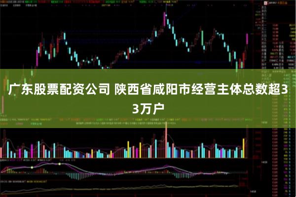 广东股票配资公司 陕西省咸阳市经营主体总数超33万户