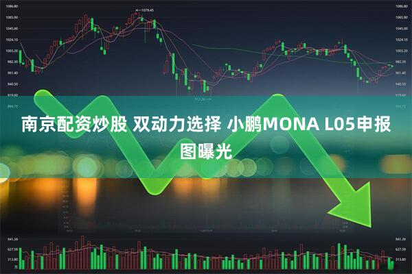 南京配资炒股 双动力选择 小鹏MONA L05申报图曝光